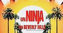 Ver Un Ninja En Beverly Hills (1997) Online | Cuevana 3 Peliculas Online