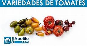 6 Variedades de Tomates | QueApetito