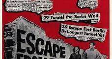 Túnel 28 (1962) Online - Película Completa en Español / Castellano - FULLTV