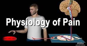 Physiology of Pain, Animation.