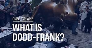 What is Dodd-Frank? | CNBC Explains