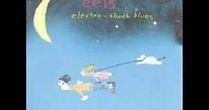 Eels - Electro Shock Blues