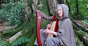 Lothlórien (The Lord of the Rings) by Enya - Harp Larks