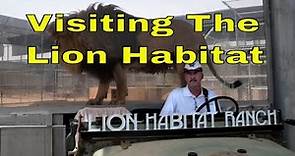 Talking with Keith Evans The Lion Habitat Las Vegas