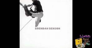 Brendan Benson "Bird's Eye View"