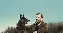 After Life - Ricky Gervais Stagione 1 - streaming online