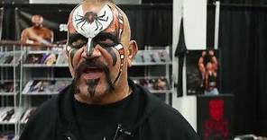 Road Warrior Animal tells the story of the ROAD WARRIOR POP