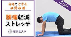 【腰痛軽減】2分間の腰伸ばしストレッチ（キャットアンドドッグ、姿勢改善）