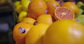 纪录：柑橘的得种类繁多，任何两种柑橘，都能杂交出新品种
