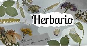 Como hacer un herbario Parte 1 I Recolectar, prensar y secar