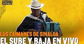 "El Sube y Baja" - Los Caimanes de Sinaloa en VIVO | Pepe's Office