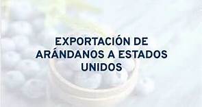 EXPORTACIÓN DE ARANDANOS A ESTADOS UNIDOS