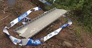 東航波音737客機墜毀：失事原因仍撲朔迷離，分析指可排除天氣和鳥擊因素