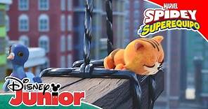 Marvel Spidey y su Superequipo: ¡Socorro, gatita! | Disney Junior Oficial