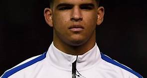 Dominic Solanke agrees terms with LFC