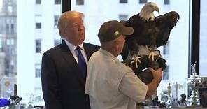 Eagle vs. Donald Trump