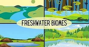 Types of Freshwater Ecosystems-Lakes-Ponds-River-Streams-Wetlands