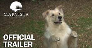 Cop Dog - Official Trailer - MarVista Entertainment