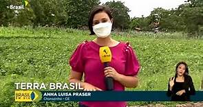 Agricultura | Programa Terra Brasil