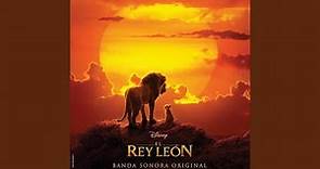 El Rey León (Live Action 2019) - El León Rey Duerme Ya