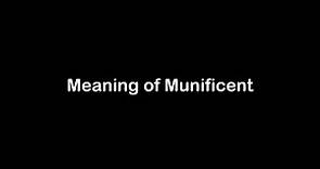 What is the Meaning of Munificent | Munificent Meaning with Example