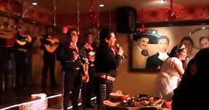El Nuevo Mariachi Mexican Restaurant - El Pajarito putting on a show