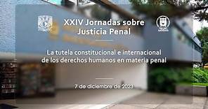 Jurisdicción Interamericana y su Impacto en la Justicia Penal, IIJ-UNAM (7/10)