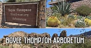 Boyce Thompson Arboretum | Let's take a walk & visit my favorite cactus and succulent plants!