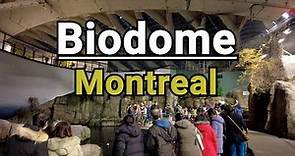 Montreal Biodome | High Quality Complete Tour