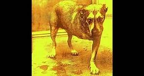 Alice In Chains - Three Legged Dog Remastered HD