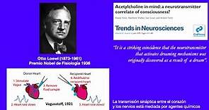 Neurociencias | Los Koryács | Otto Loewi y el descubrimiento de la ACh