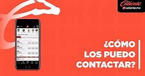 ¿Cómo los puedo contactar?