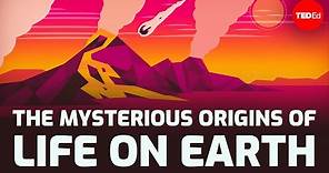 The mysterious origins of life on Earth - Luka Seamus Wright