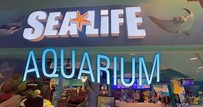 SEA LIFE Aquarium | Great Lakes Crossing Mall | Auburn Hills, MI