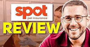 Spot Pet Insurance Review: Is It Really Worth It?