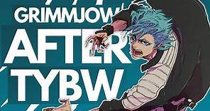 What Happened to Grimmjow After TYBW? His Appearance in CFYOW, EXPLAINED | Bleach Discussion