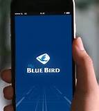 Aplikasi Video Blue Indonesia