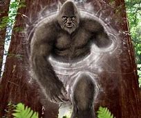Image result for images of sasquatches