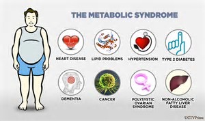 Image result for metabolism syndrone