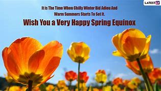 Image result for Spring Wishes