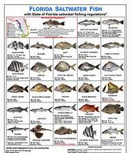 fish species and locations