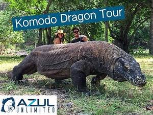 Komodo Dragon Tour - Azul Unlimited