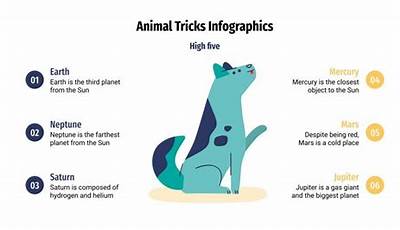 Unleash The Magic: Discover The Astonishing World Of Animal Tricks On Google
