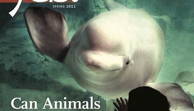 Unveiling The Animals Issue: Discoveries And Insights