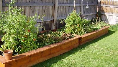 Backyard Garden Box