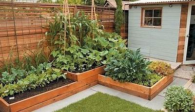 Backyard Vegetable Garden Plans