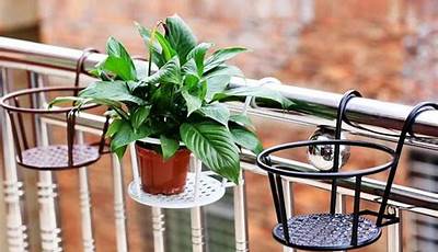 Balcony Plant Pots Amazon