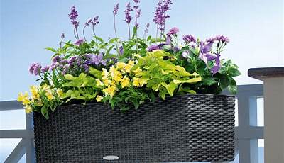 Balcony Plant Pots Uk