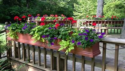 Balcony Planter Box Plants