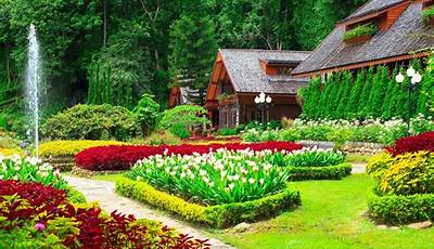 Beautiful Flower Garden Hd Images Download